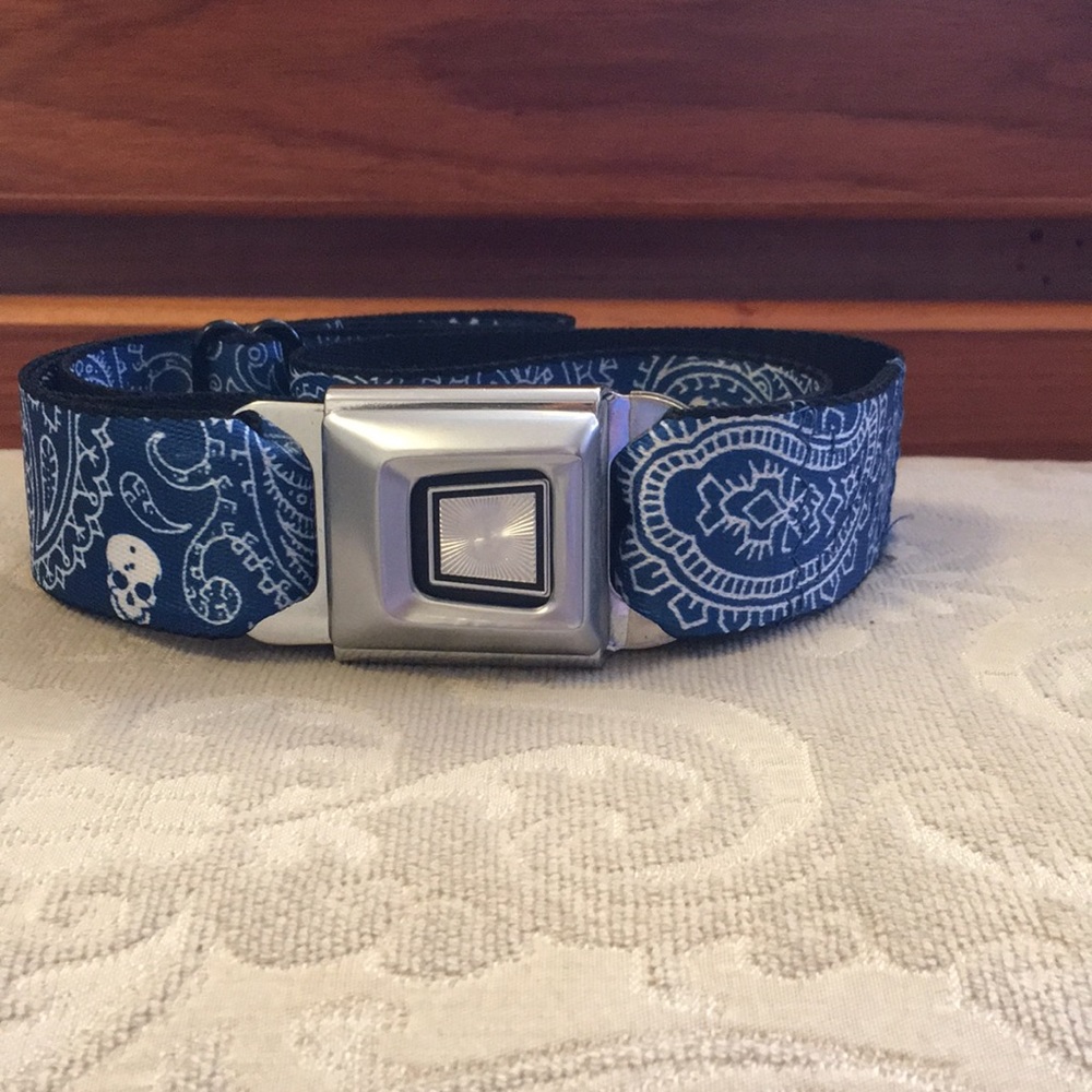 Seatbelt buckle belt